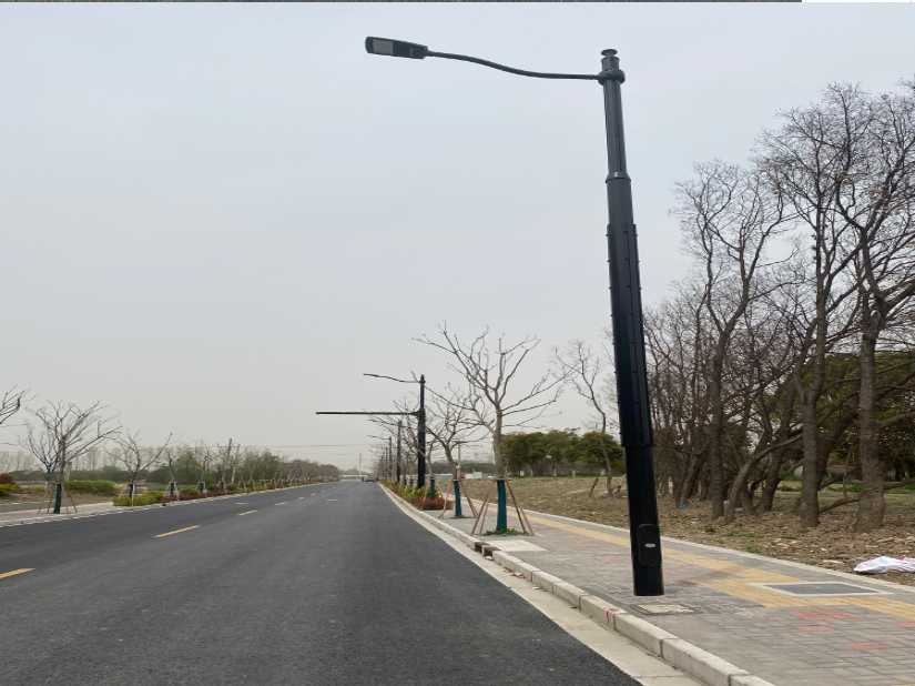 阆中市上海综合杆 太阳能路灯工程